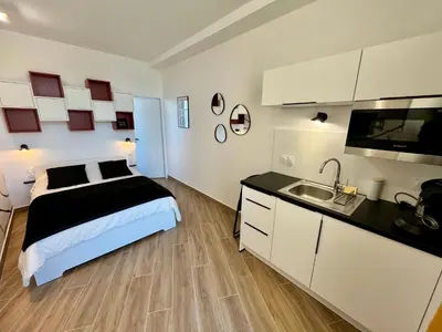 Cuisine ou kitchenette dans l'établissement Studio climatisé face Loire et château le 4-5