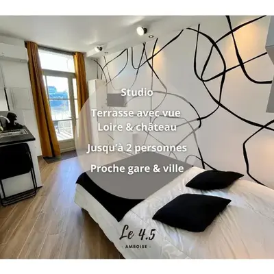 Studio climatisé face Loire et château le 4-5