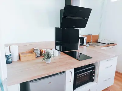 Cuisine ou kitchenette dans l'établissement Bel appartement tout équipé