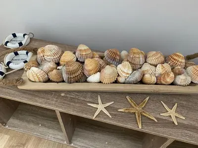 Nourriture dans l'appartement ou à proximité