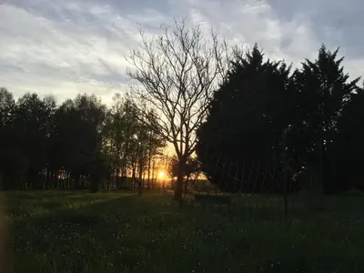 Lever ou coucher de soleil vu de le B&B/chambre d'hôtes ou à proximité