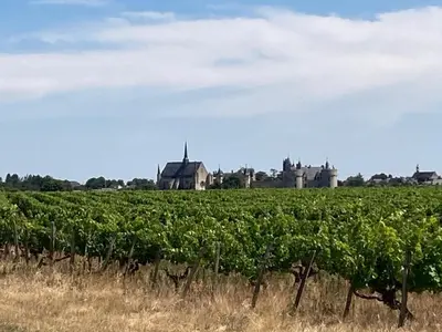Plan de l'établissement Le Relais du Bellay