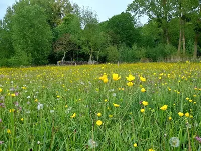 Paysage naturel près de la maison de vacances
