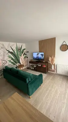 Télévision ou salle de divertissement dans l'établissement La Léonard île au coeur de l île d or logement avec chambre climatisée