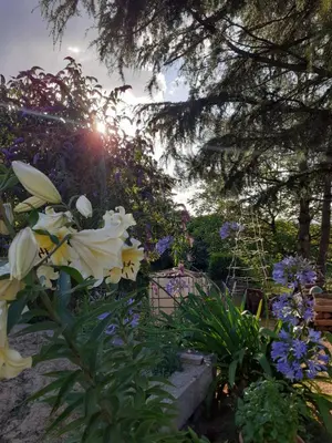 Jardin de l'établissement La chambre aux papillons
