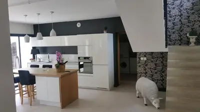 Cuisine ou kitchenette dans l'établissement Maison 24H du Mans pour Chambres