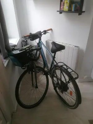 Vélo sur le terrain de l'établissement Cozy duplex en RDC hyper centre le Mans gare circuit des 24h ou dans les environs