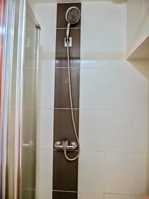 Salle de bains dans l'établissement Sweet Appartement élégante hypercentre Blois