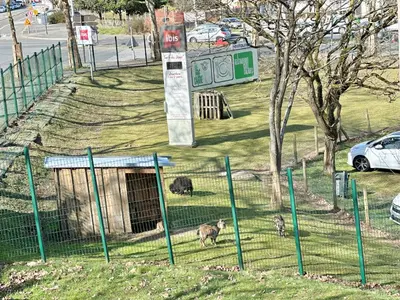 Animal ou animaux domestique(s) séjournant avec des clients dans l'établissement L Archipel Le Mans Est Pontlieue