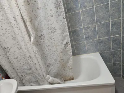 Salle de bains dans l'établissement Chika