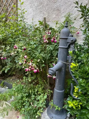Jardin de l'établissement Chambre Veteranova