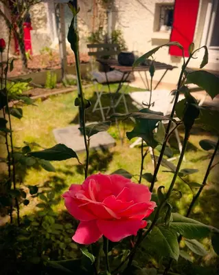 Jardin de l'établissement 
