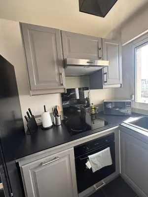 Cuisine ou kitchenette dans l'établissement Appartement d Alex