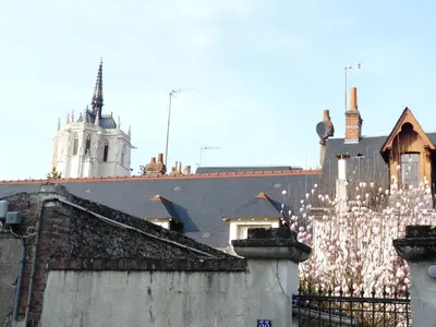 Plan de l'établissement Le Passage du Roi, maison de ville, jardin et garage au coeur d'Amboise