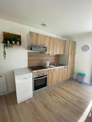 Cuisine ou kitchenette dans l'établissement Appt 5 personnes - 2 Chambres, terrasse et jardin