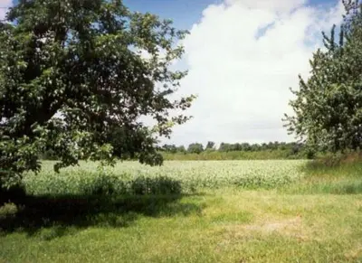 Paysage naturel près de la maison de vacances