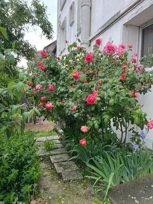 Jardin de l'établissement L'escapade verte
