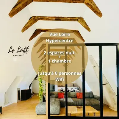 Le Loft - Entre Loire et Chateau Royal - Manoir de la Concorde