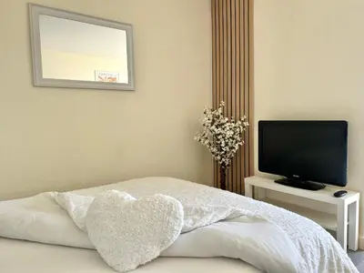 Télévision ou salle de divertissement dans l'établissement Petit Tourangeau - Jardin Botanique - Balcon