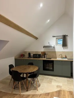 Cuisine ou kitchenette dans l'établissement Un studio en Touraine