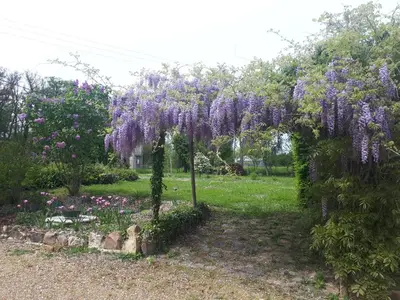 Jardin de l'établissement LOGÉVEIL - Maison d'hôtes ''Charme et Bien-être'' - proche forêt et golf