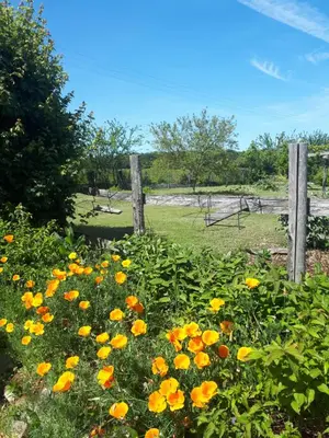 Jardin de l'établissement LOGÉVEIL - Maison d'hôtes ''Charme et Bien-être'' - proche forêt et golf