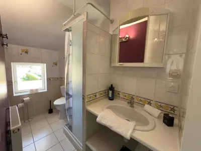 Salle de bains dans l'établissement La Solognote-Châteaux & Beauval