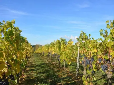 Plan de l'établissement Retreat in Beaumont-en-Véron
