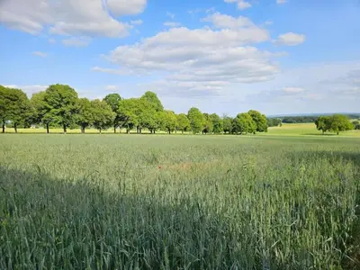 Paysage naturel près de la maison de vacances