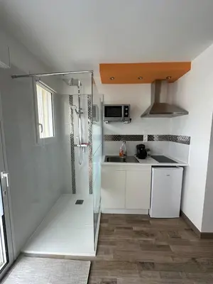 Cuisine ou kitchenette dans l'établissement Studio