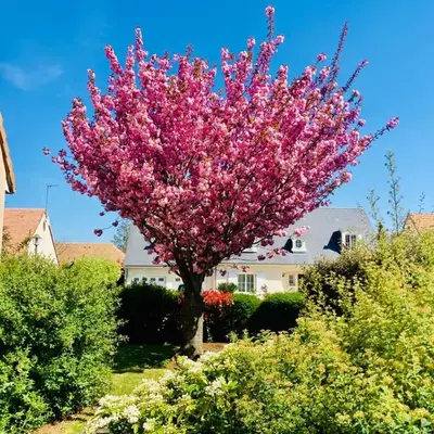 Chez Armelle