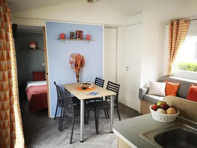 Coin salon dans l'établissement Mobil-home tout confort en camping avec terrasse couverte