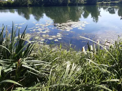 Vue sur la rivière ou le fleuve situé(e) à proximité de l'appartement