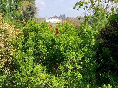 Jardin de l'établissement Gîte Confortable avec Jardin et Parking Près de Blois - FR-1-491-462