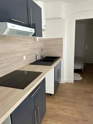 Cuisine ou kitchenette dans l'établissement Nouveau Centre Ville