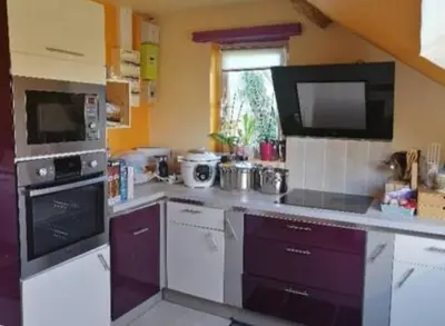 Cuisine ou kitchenette dans l'établissement Le paradis des chats bercéen chez Stéphanie près circuit du Mans, animaux acceptés, relais motard