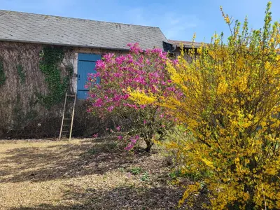 Jardin de l'établissement Maison à louer