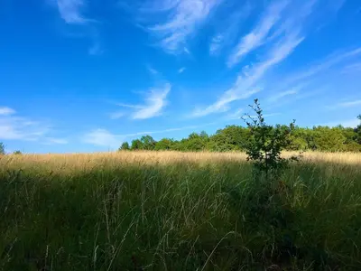 Paysage naturel près de la maison de vacances