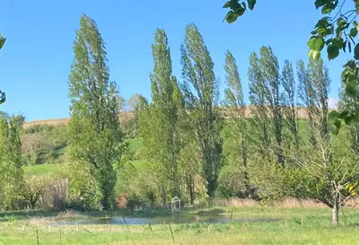 Paysage naturel près de le B&B/chambre d'hôtes