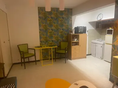 Cuisine ou kitchenette dans l'établissement Joli studio