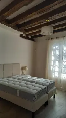 Un ou plusieurs lits dans un hébergement de l'établissement Maison avec vue le Vieux Mans