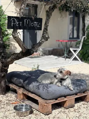 Animal ou animaux domestique(s) séjournant avec des clients dans l'établissement Motel - Usine à Gaz