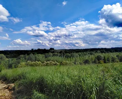Paysage naturel près de the country house