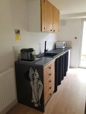 Cuisine ou kitchenette dans l'établissement appartement cosy avec jardin Amboise