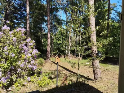Jardin de l'établissement Lodge détente nature Sam'Suffit