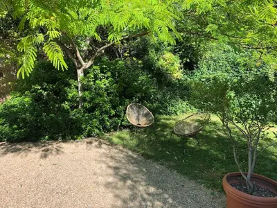 Jardin de l'établissement Petite maison dans fosse troglodytes
