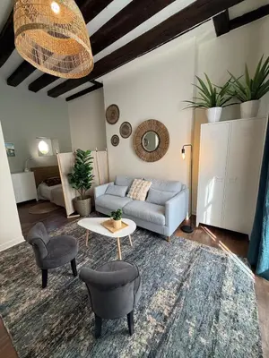 Plan de l'établissement Quartier Vieux Tours, Grand studio avec coin chambre