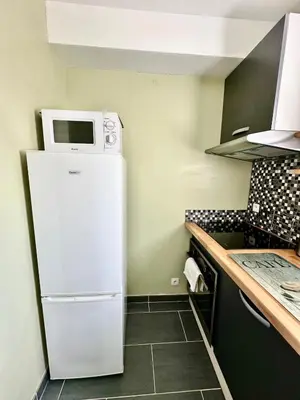 Cuisine ou kitchenette dans l'établissement Gîte de beaujours
