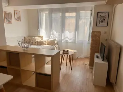 Cuisine ou kitchenette dans l'établissement Studios Balcony de Loire