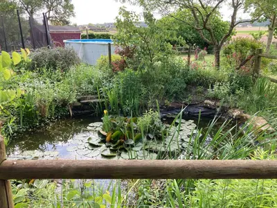 Jardin de l'établissement Saumur Loire chambres et gite